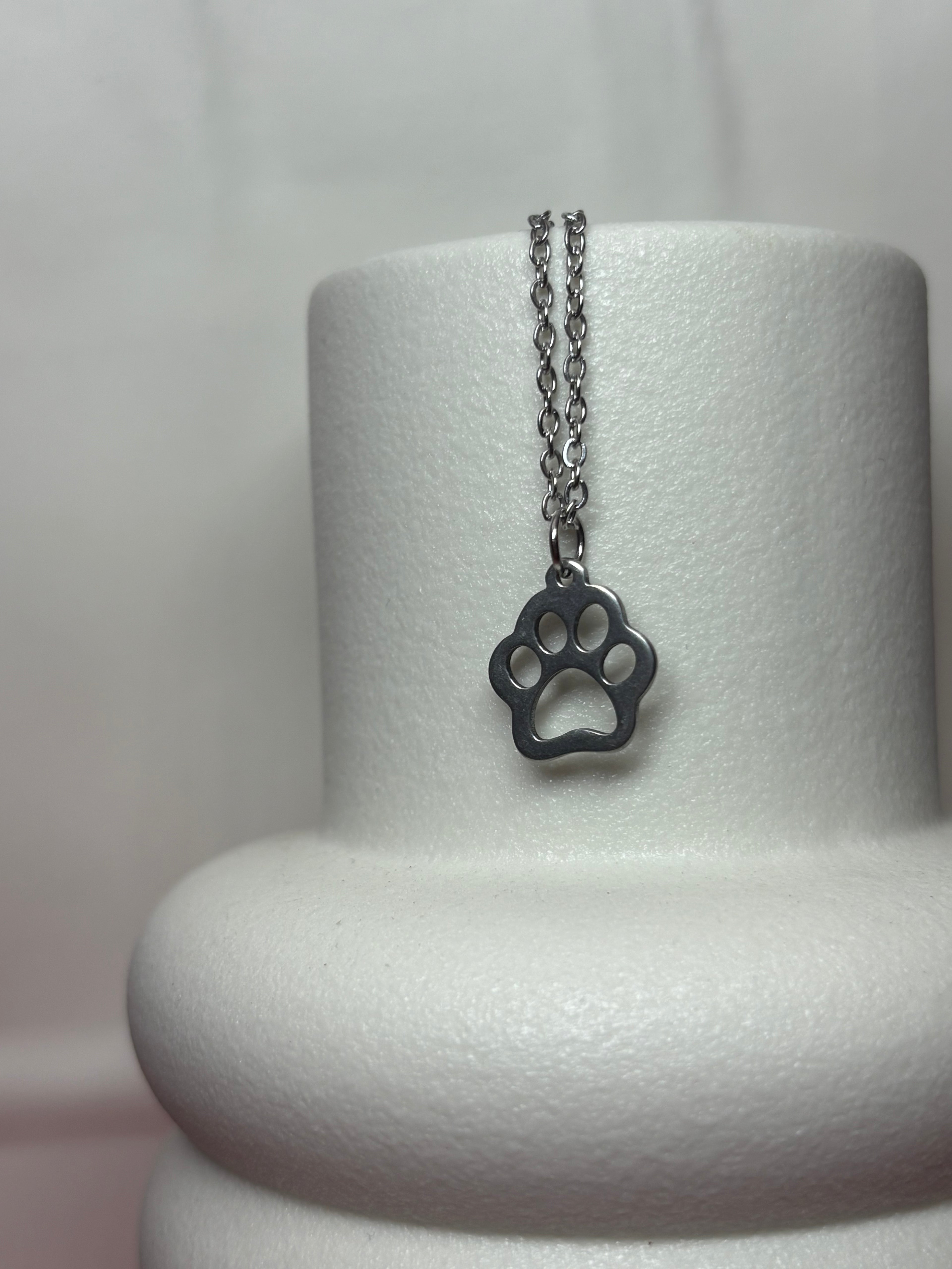 Dog silver paw